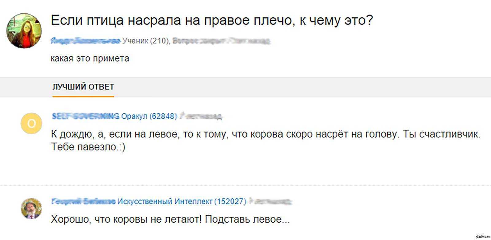 Примета накакала птица на голову, плечо, руку, машину