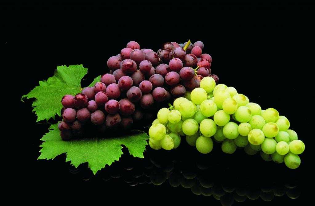 Сонник: к чему снится виноград черный, синий или зеленый