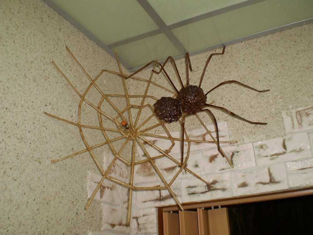 ✅ поделка паутинка из природного материала - питомник46.рф