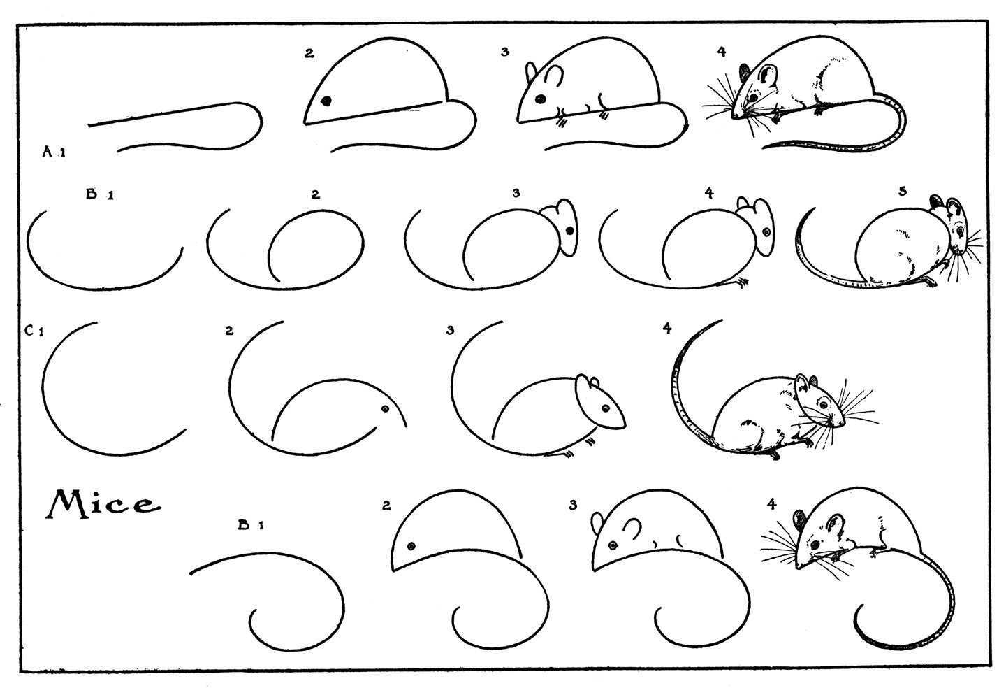 Поэтапное рисование мышки для дошкольников