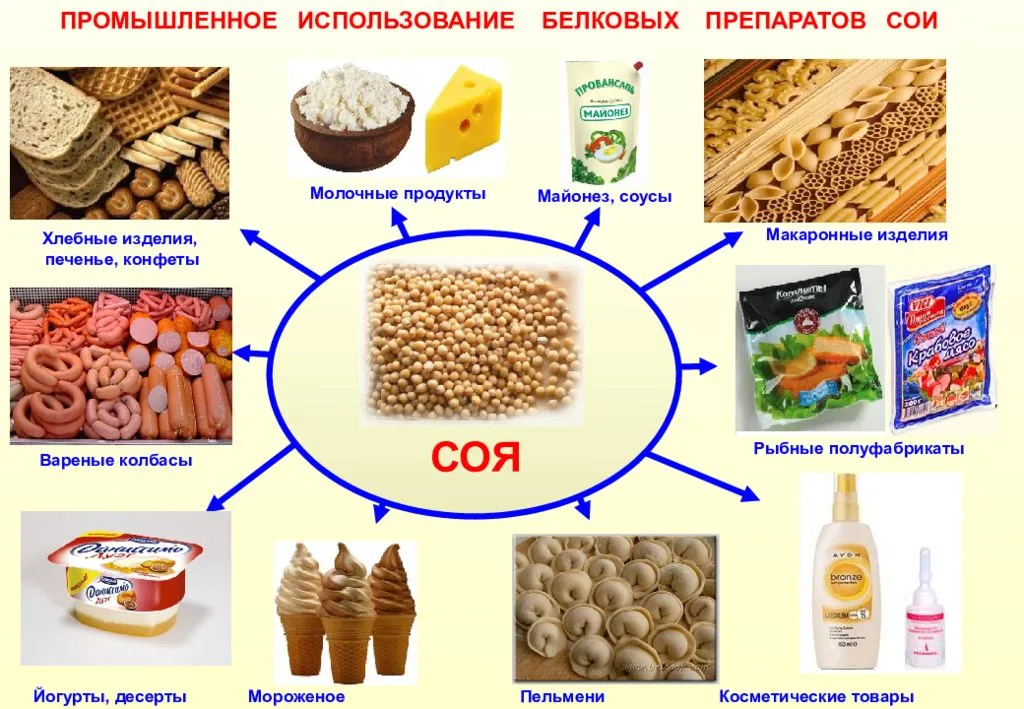 Какой продукт можно сделать для проекта