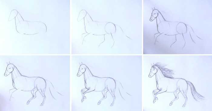 Рисуем голову лошади цветными карандашами