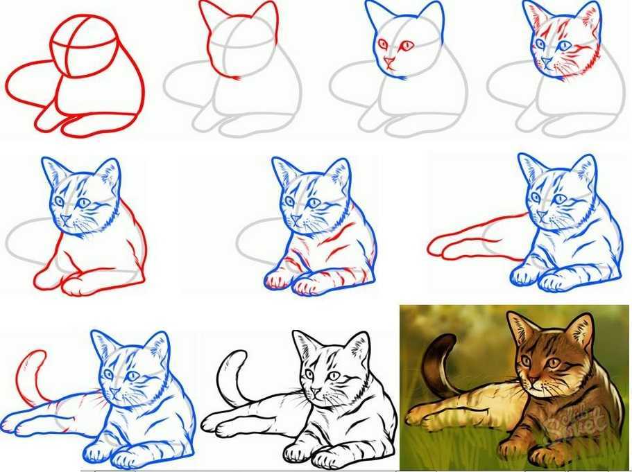Рисование кошки. Пошаговые рисунки. Кошка пошаговое рисование. Поэтапное рисование кошки для дошкольников. Как красиво рисовать котиков