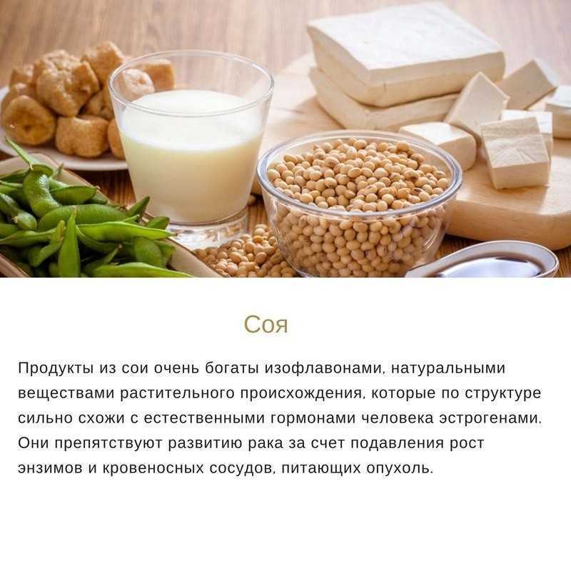 Соевые бобы - польза и вред для здоровья женщин и мужчин