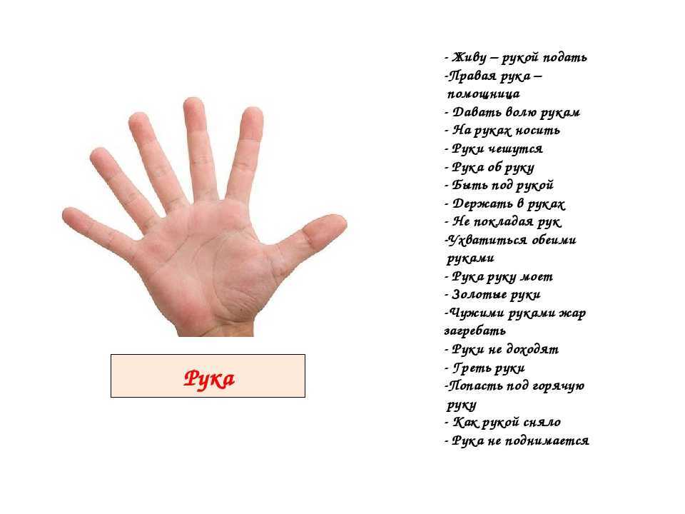 Примета — чешется безымянный палец на левой руке (кончик, фаланга, подушечка). по дням недели, мужчине и женщине