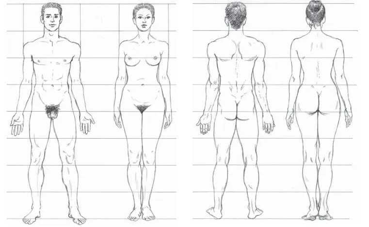 Как рисовать человека мужчину