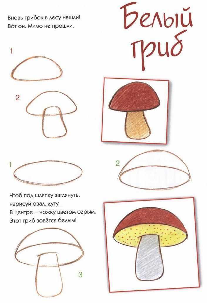 Нарисовать съедобные грибы карандашом