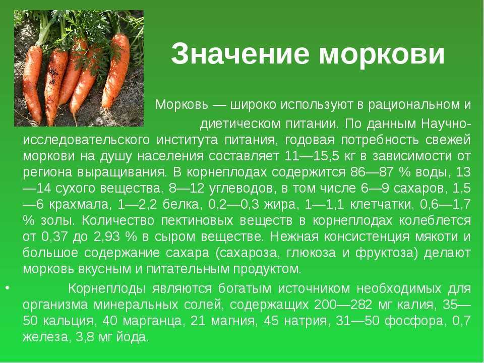 Морковь проект 5 класс