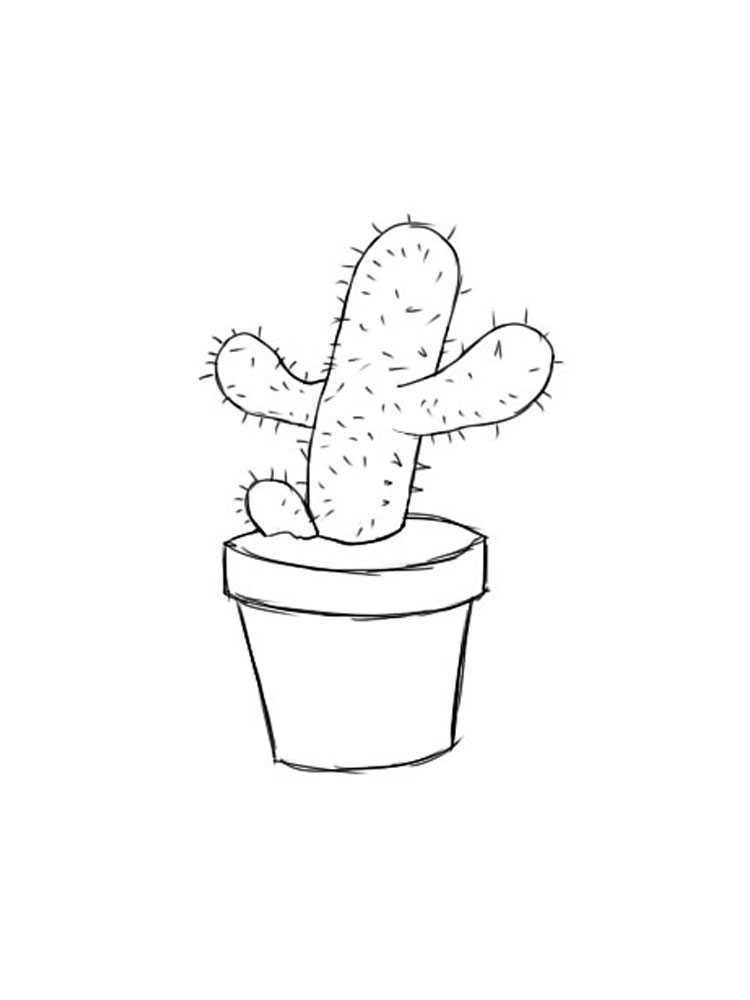Как нарисовать кактус карандашом — 3 урока для начинающих