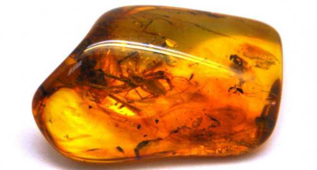 Камень янтарь: магические свойства драгоценного минерала