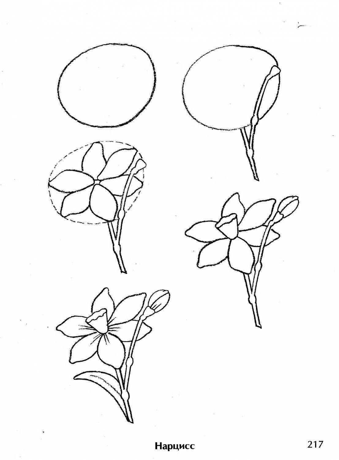 Этапы рисования цветка