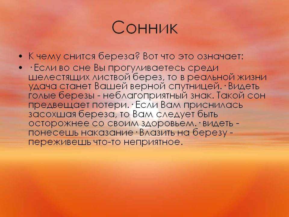 К чему снится школа. К чему снится береза. Сонник к чему снится школа. Что значит если приснилась школа.