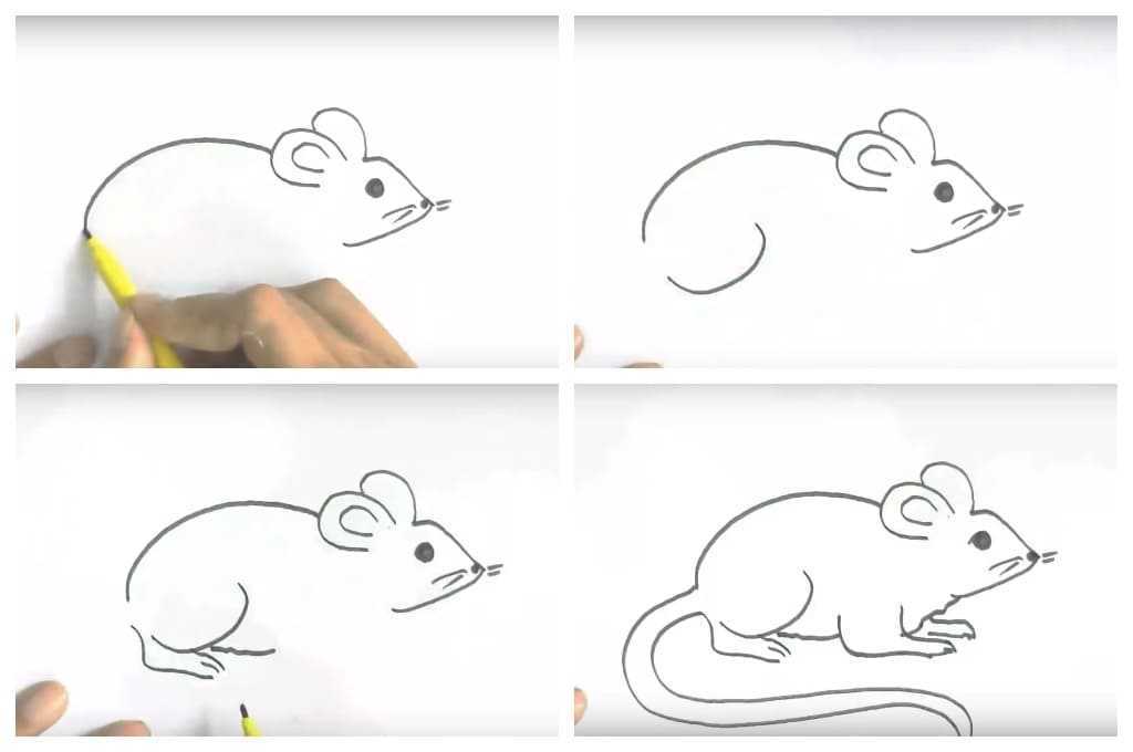 Как нарисовать мышь карандашом поэтапно для начинающих и детей? как нарисовать мордочку мышки карандашом?