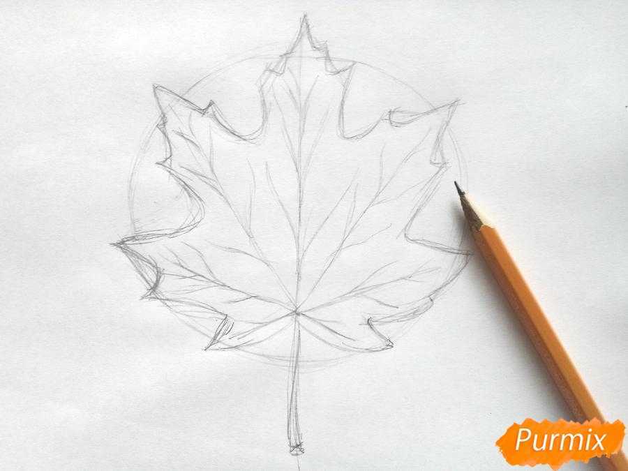 Как нарисовать кленовый лист цветными карандашами поэтапно. как нарисовать кленовый лист