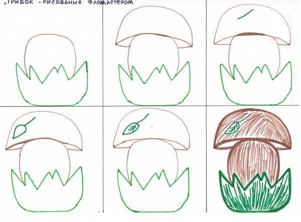 Как нарисовать гриб пошагово: основные этапы создания рисунка. обзор идей, как изобразить лисичку и мухомор