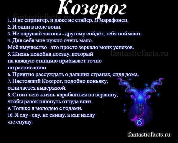 Совместимость знаков зодиака в любви и браке: что скрывают звезды?