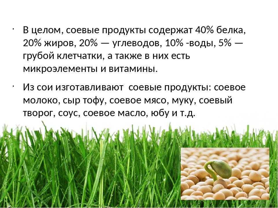 Сколько нужно есть сои и продуктов из нее, чтобы не нанести вред организму