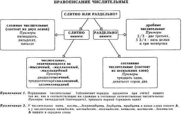 Правописание числительных в русском языке: правила, таблица