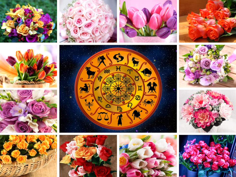 Цветочный гороскоп. цветы по знакам зодиака. фото — ботаничка