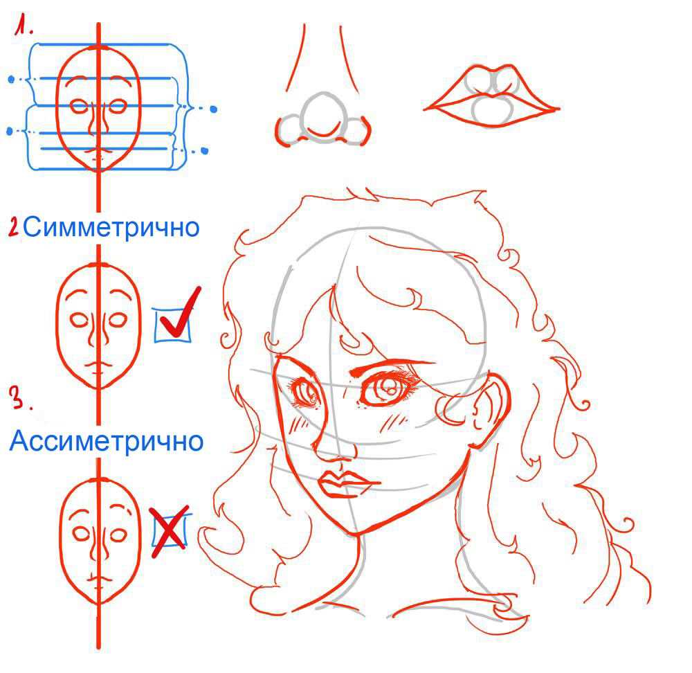 Лицо девушки рисунок поэтапно