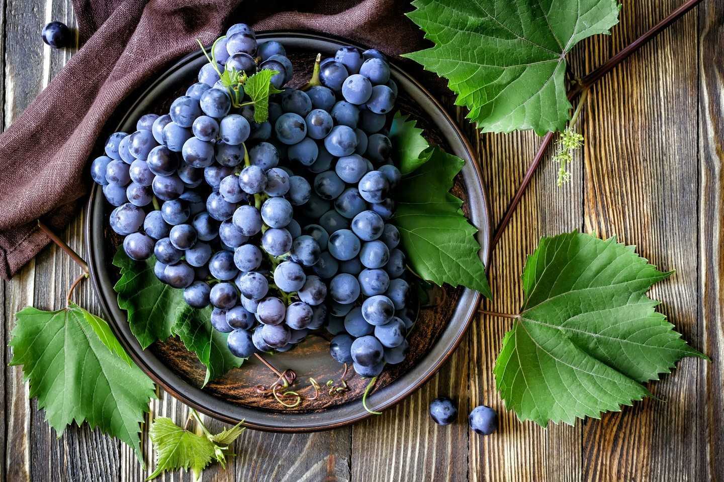 К чему снится виноград 🍇 - топ 43 значения ❗ по сонникам: что означает видеть во сне маленькую сладкую виноградную гроздь или виноградник для девушки или парня