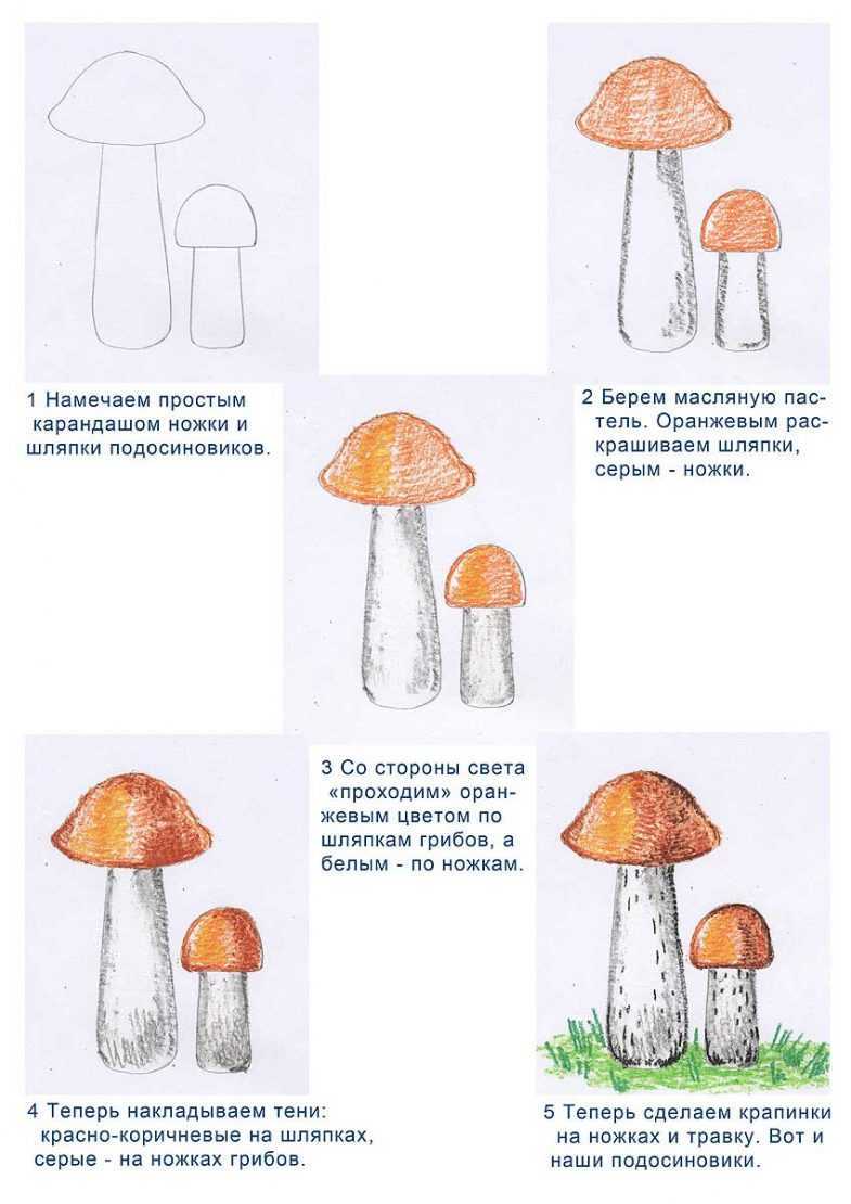 Как рисовать поэтапно гриб