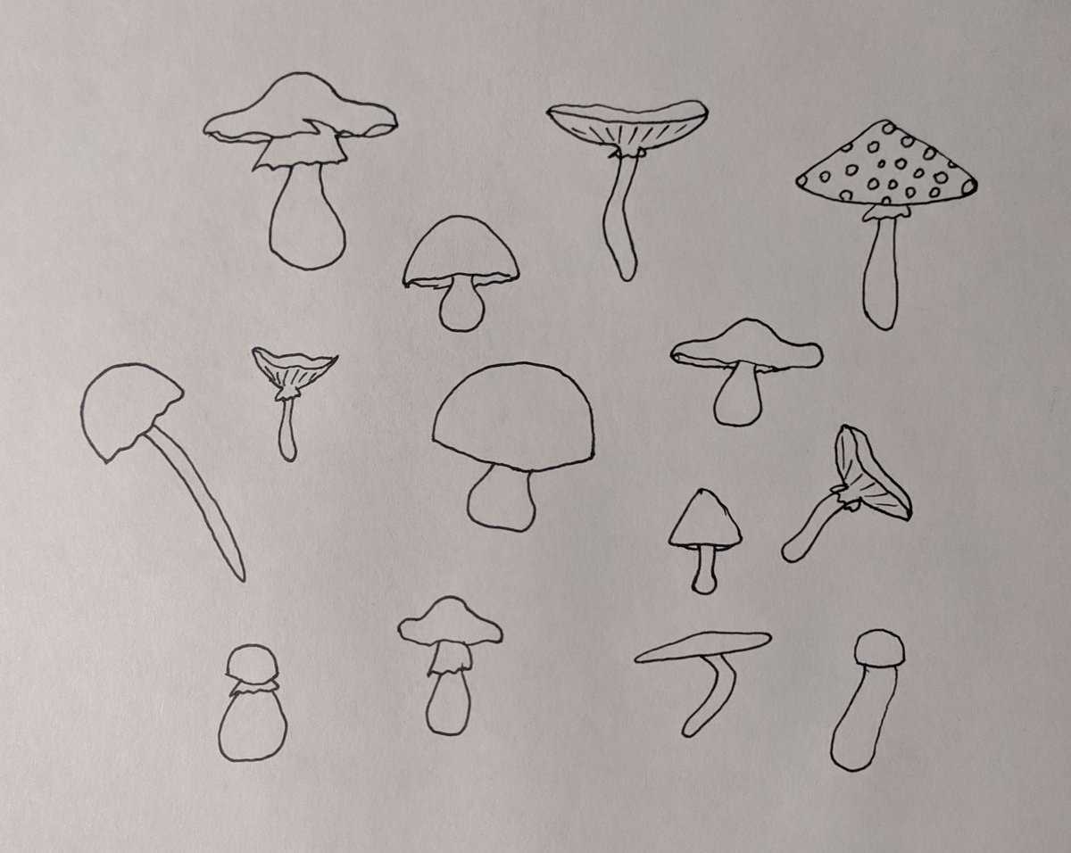 Поэтапное рисование гриба