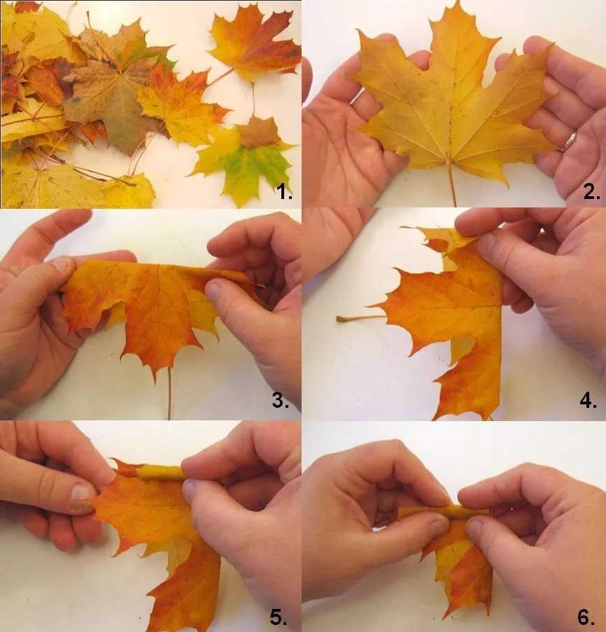 Поделки из природного материала на тему осень: как сделать своими руками