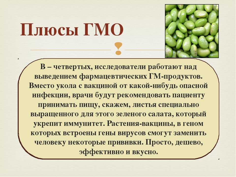 Вред соевого. ГМО. ГМО презентация. ГМОТ. Генномодифицированные организмы (ГМО).