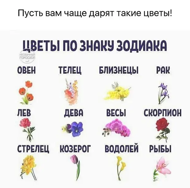 Какие цветы дарить разным знакам зодиака