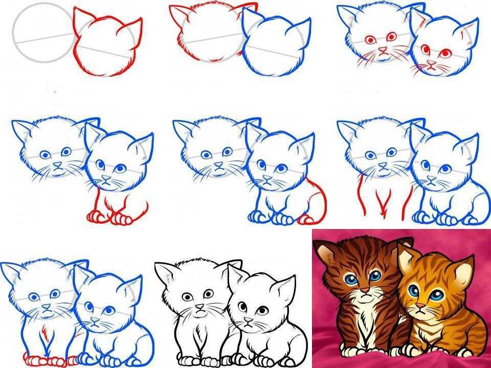 Котенок рисунок. Рисунки котиков. Поэтапный рисунок кошки. Поэтапное рисование котенка для детей. Как красиво рисовать котиков