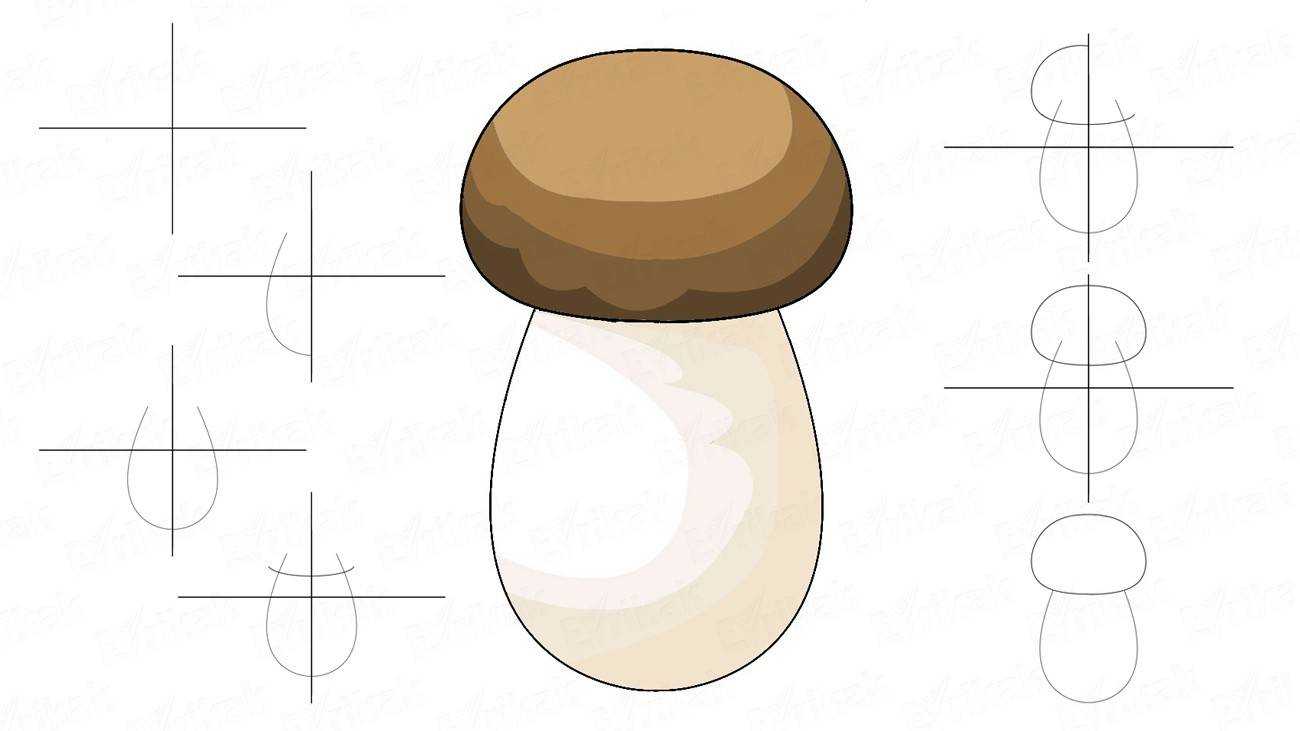 Как нарисовать гриб поэтапно