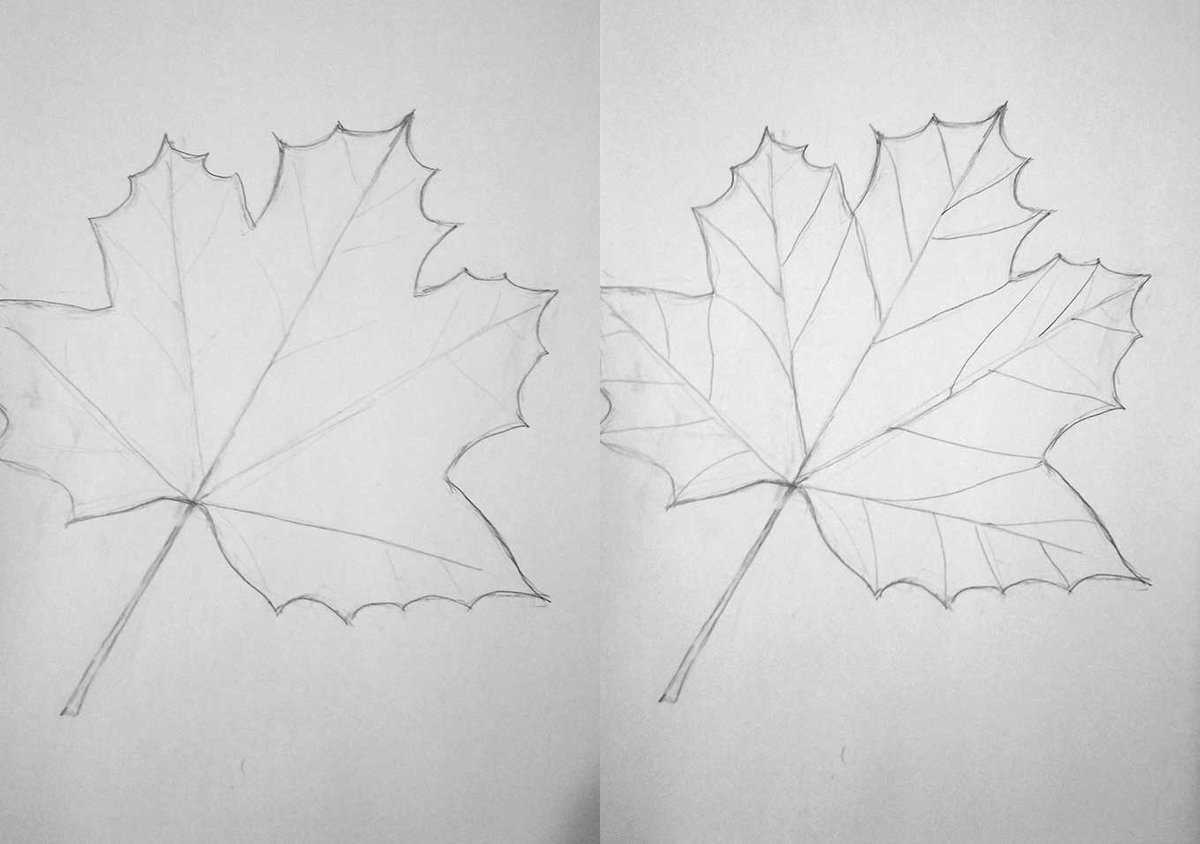 Как нарисовать листья поэтапно карандашом: инструкция с фото и описанием
