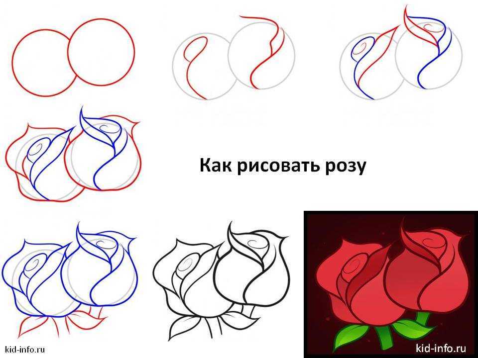 Что можно нарисовать легко и быстро красиво. Рисунки розы карандашом для начинающих.
