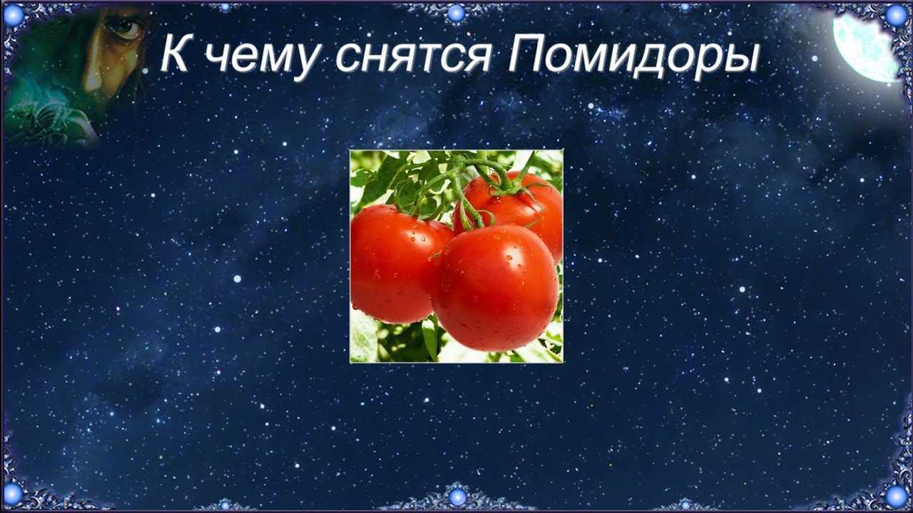 К чему снятся помидоры. сонник про красные помидоры у женщин