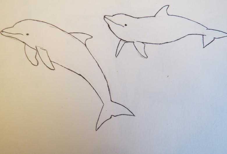 Как нарисовать дельфина поэтапно карандашом — особенности техники, выбор материалов, легкие мастер-классы и красивые фото примеры
