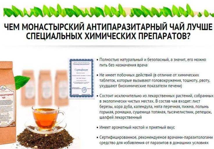 Чай при панкреатите: можно ли пить или нет
