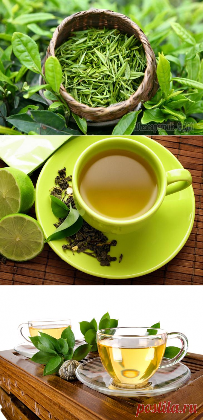 Что можно вместо чая. Чай Лунцзин заварка. Зеленый чай. Чашка зеленого чая. Зеленый чай для похудения.