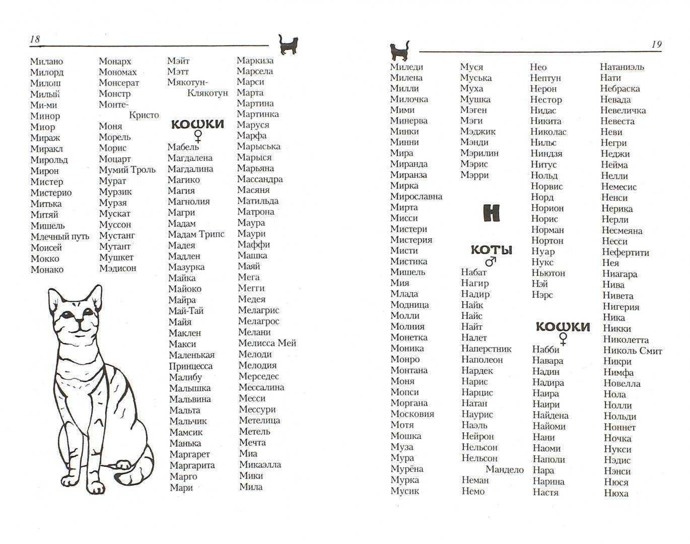 Клички для кошек девочек: 494 интересных русских имён на 2021 год