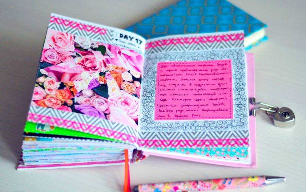 Идеи по красивому оформлению школьного дневника - снаружи и внутри, белого, для девочки и др