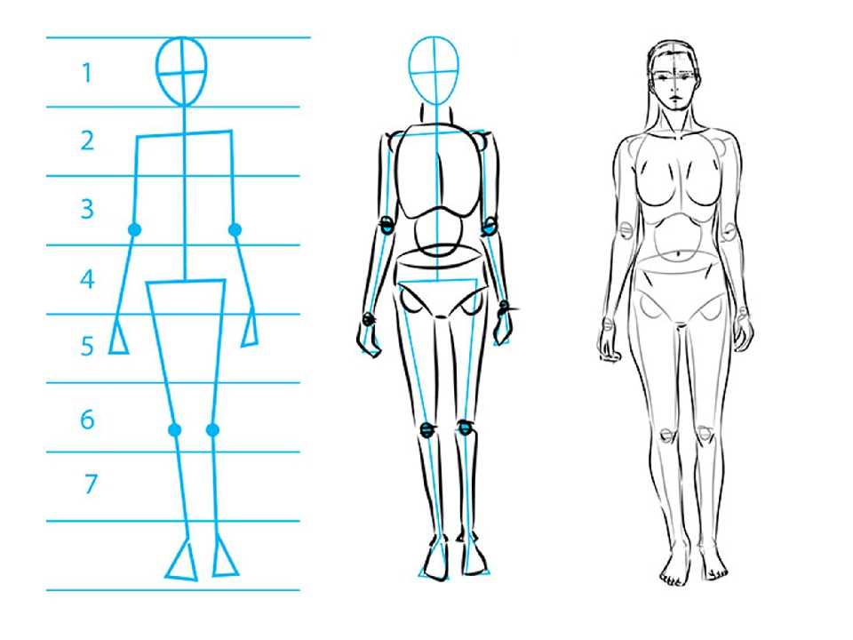 Схема рисовки человека