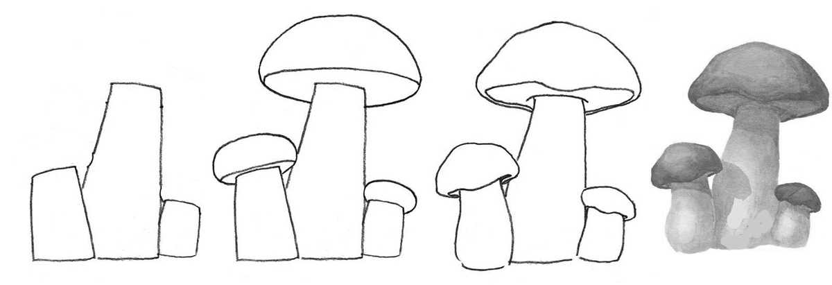 Как рисовать поэтапно гриб
