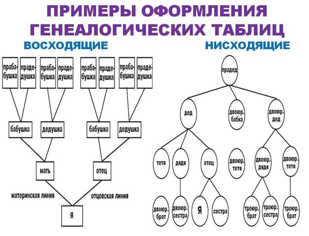 Дерево рода схема