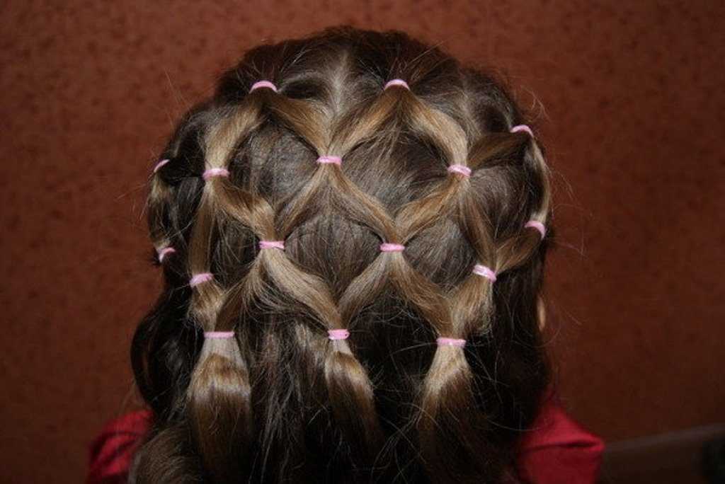 Сетка косички