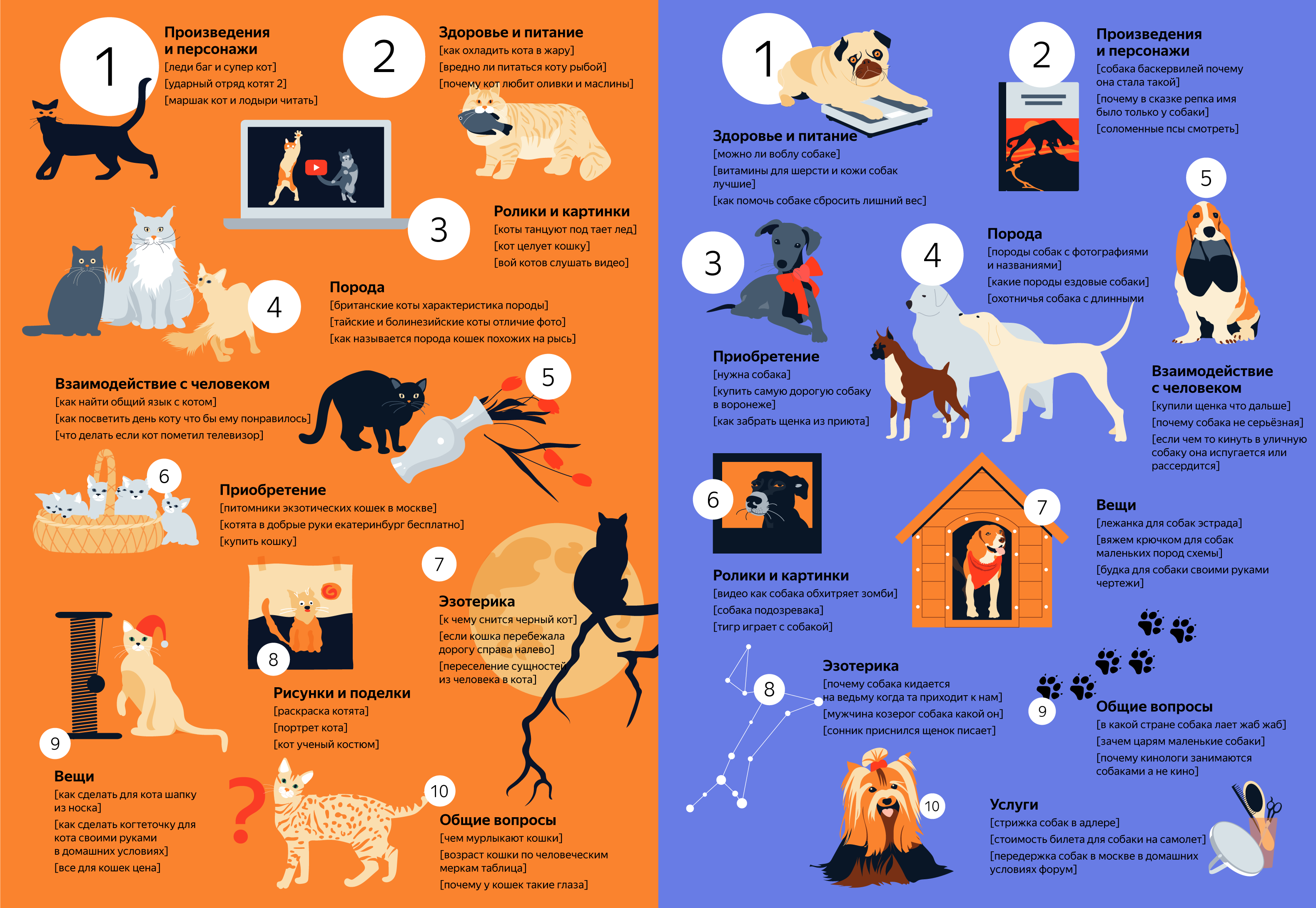 Шерсти ошибки. Инфографика собаки. Инфографика кошки. Содержание домашних животных. Инфографика кошки и собаки.