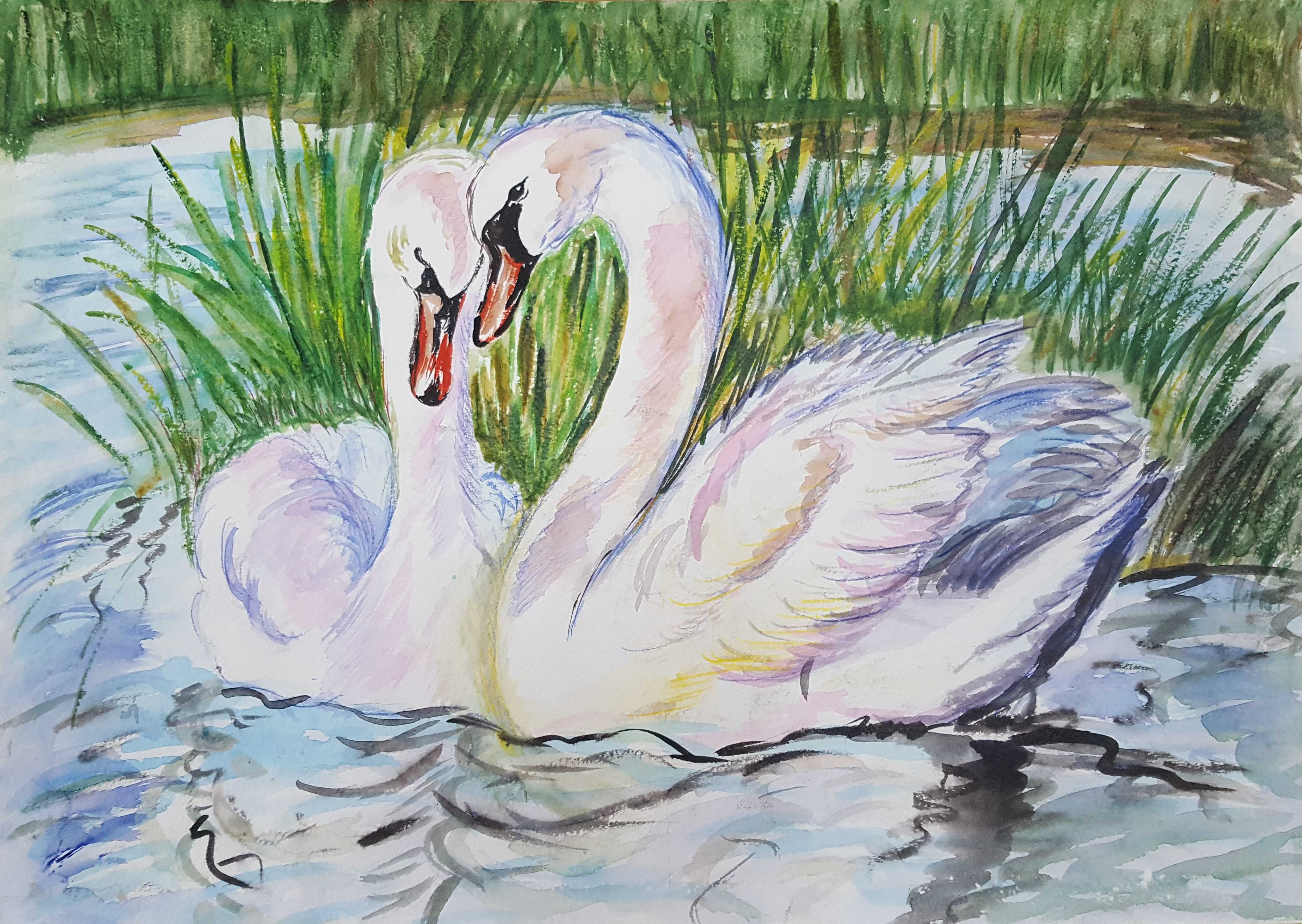 Как нарисовать лебедя поэтапно карандашом для начинающих и детей? как нарисовать лебедя на озере?