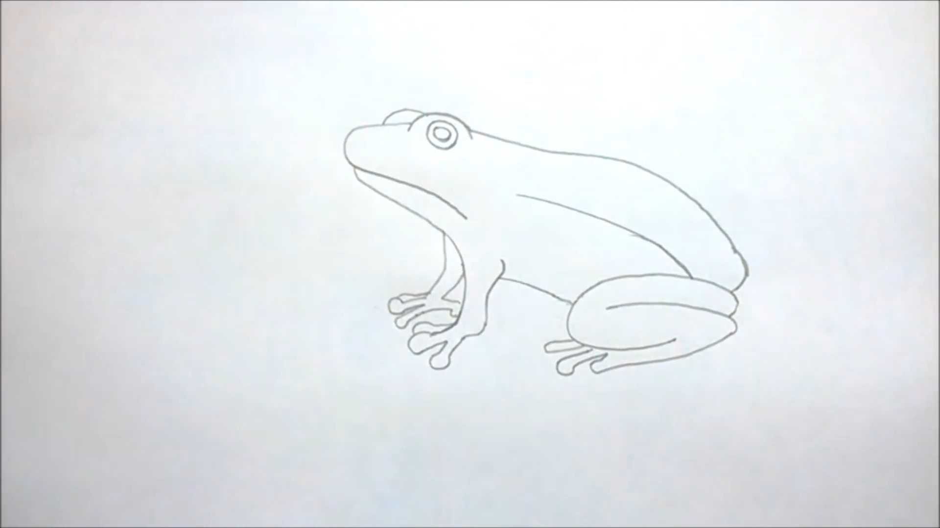 Как нарисовать лягушку карандашом