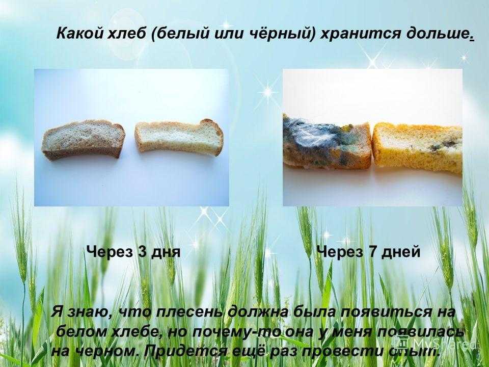 Можно ли хлеб на диете: чем заменить хлеб при похудении. отличная замена хлебу! чем заменить хлеб в питании