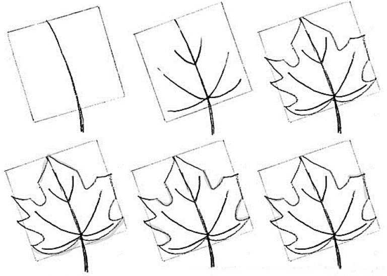 Как нарисовать кленовый лист | просто поделки