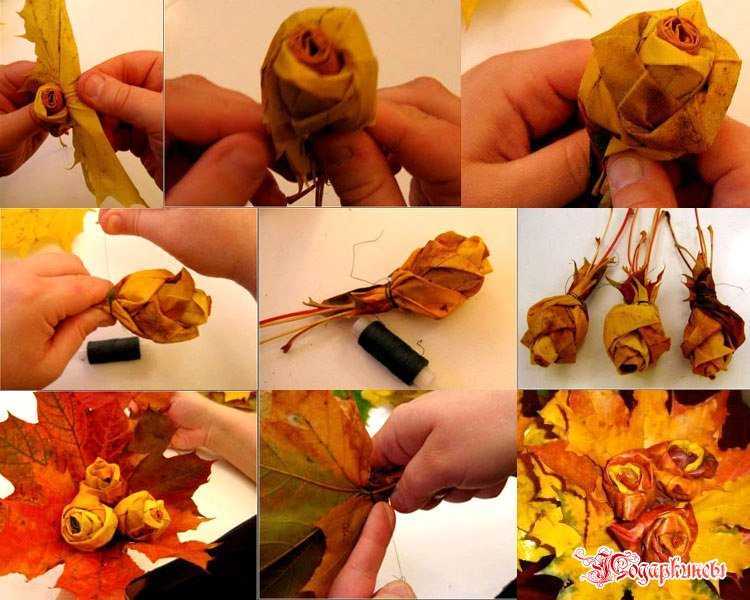 Как сделать розу из листьев: мастер-класс «роза из осенних листьев» своими руками